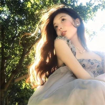 黑艳凤